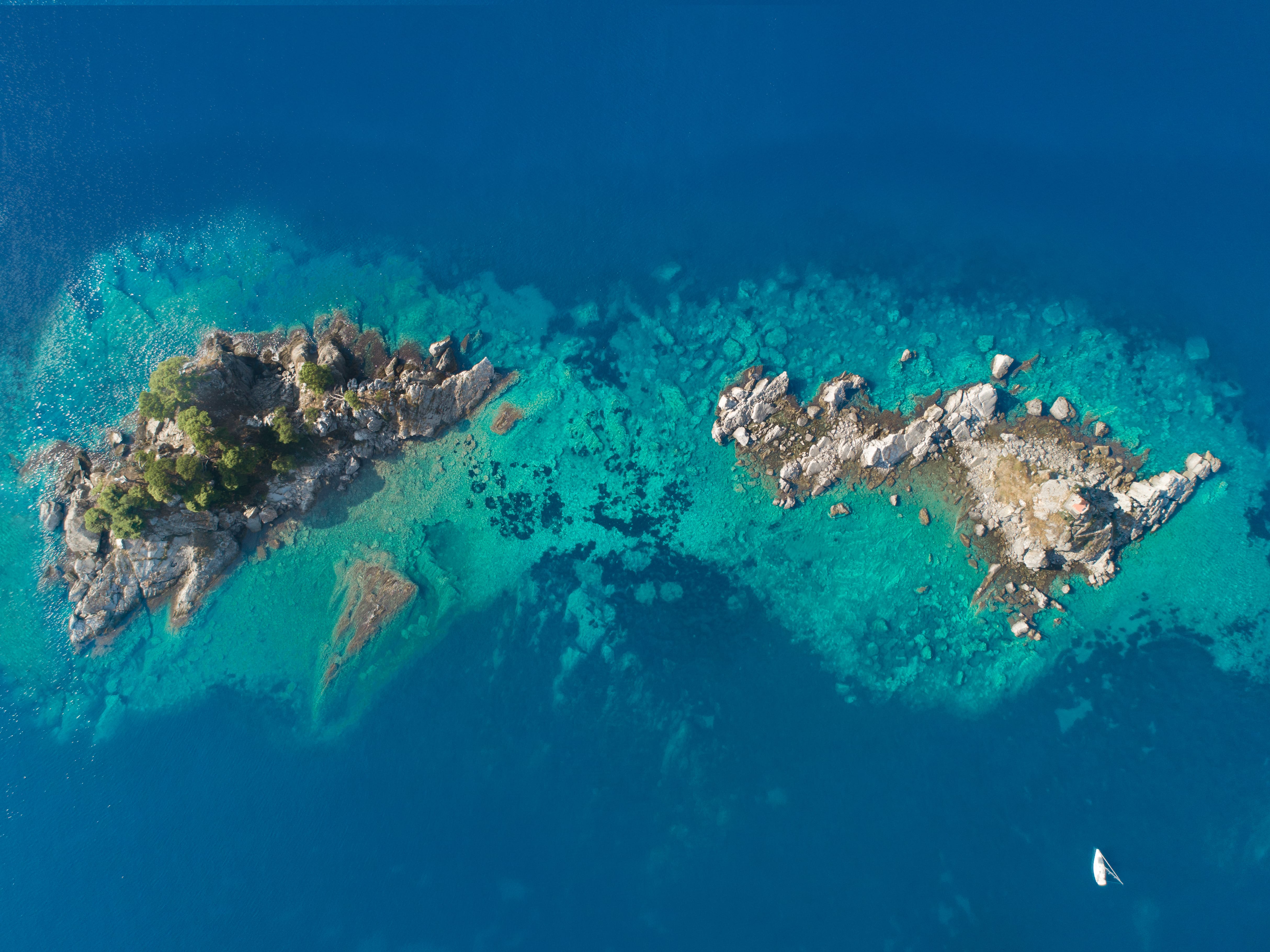 image album multimedia