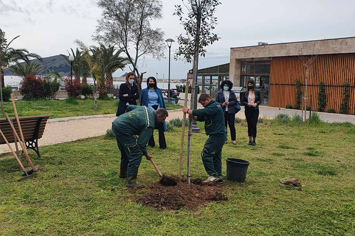 budva-camps budva-caffes budva-beach budva-events budva-Montenegro