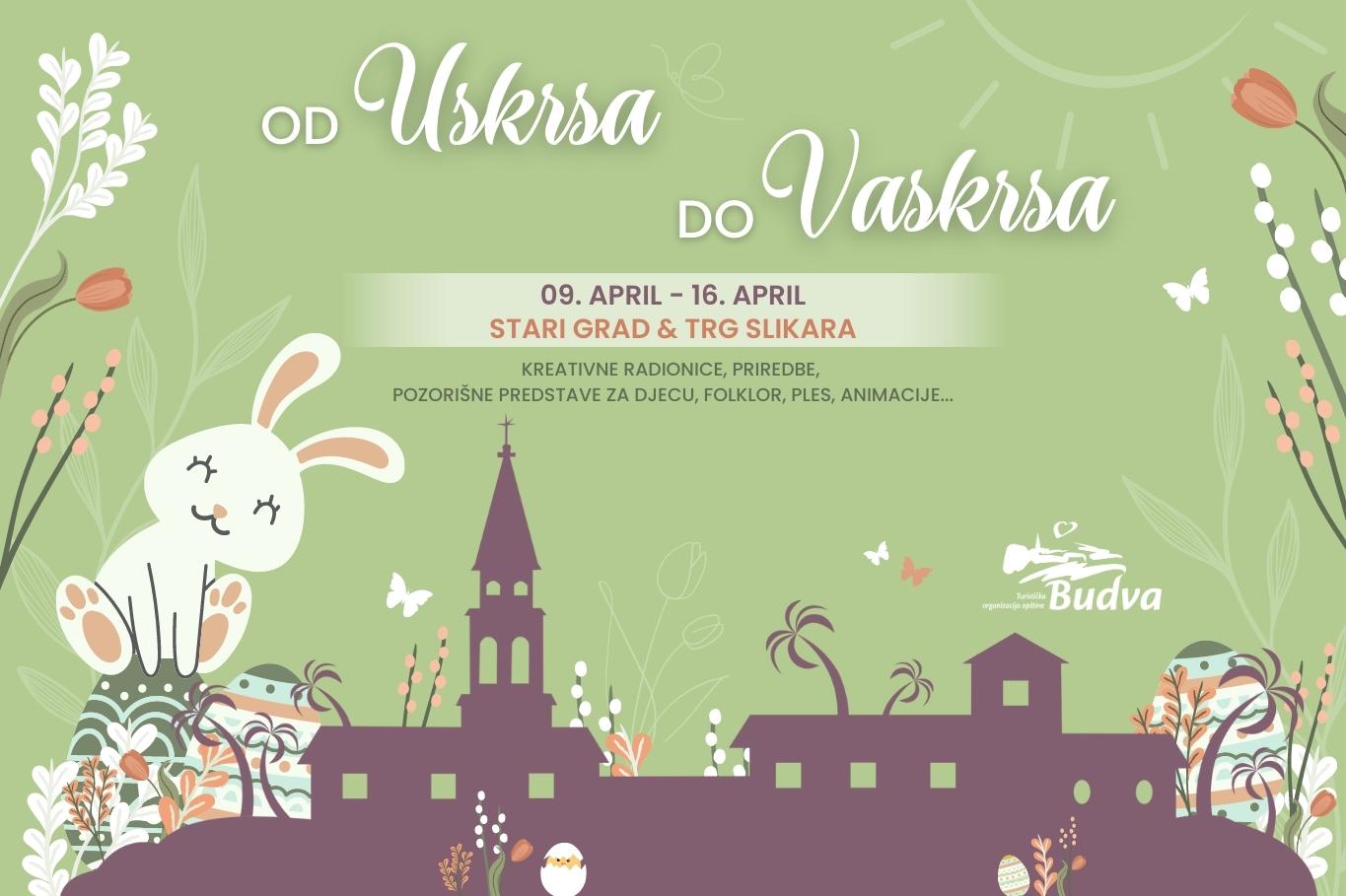 beach montenegro adriatic-sea budva-registration-fee budva-nightlife