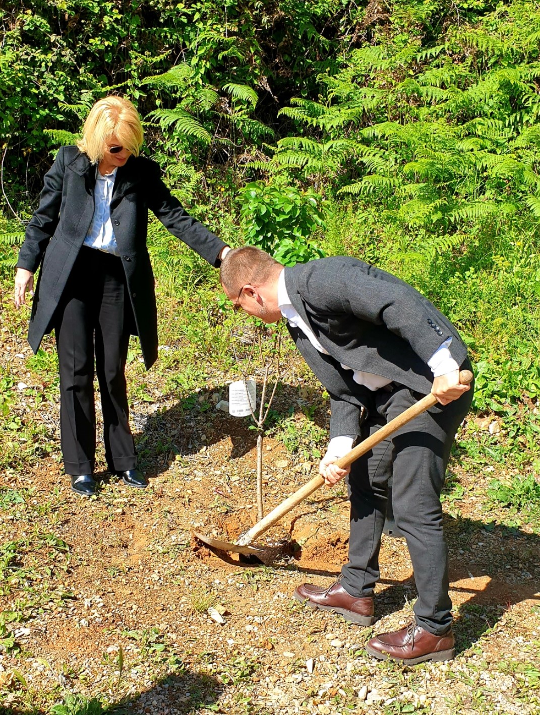 budva-caffes budva-hotels beach budva-restaurants budva-tourist-organization