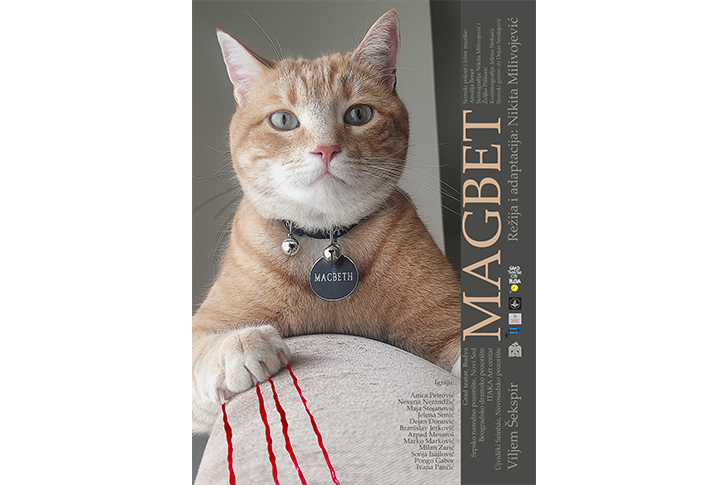 budva-events budva-registration-fee budva-beach-bar budva-hostels budva-weather