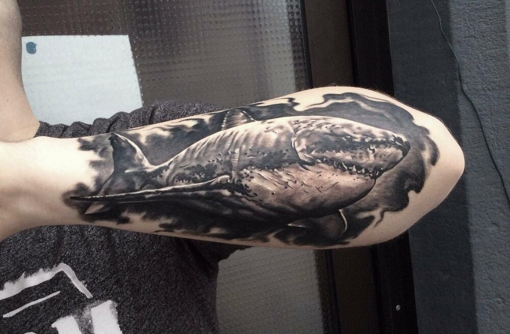 budva-marina budva-beach budva-hotels budva budva-tourist-organization